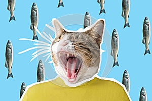 Cat and fish img