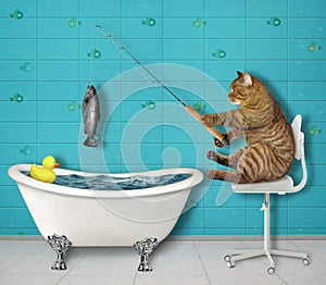 Cat fishing in bathtub 2