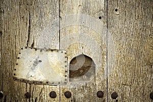 Cat flap on wooden door