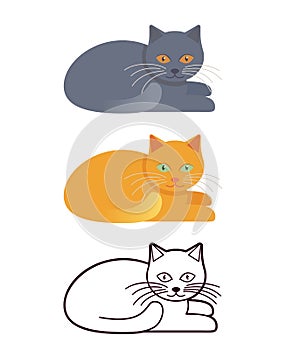 Cat in flat design and linear. Vector illustration.