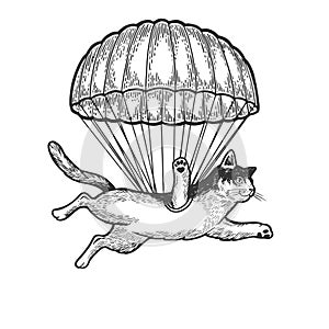 Cat fly with parachute sketch engraving vector