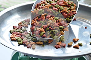 Cat food in scoop on weighting scale tray