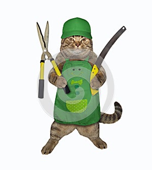 Cat with gardening scissors