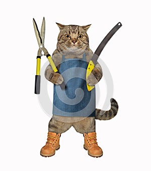 Cat with gardening scissors 3