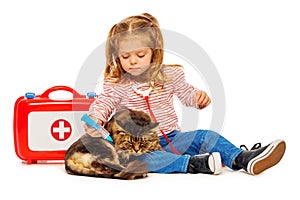 Cat getting a vaccine by little veterinarian