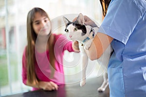 Cat with girl in vet clinic