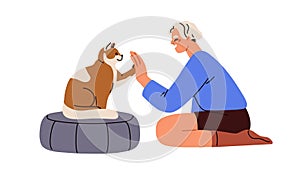 Cat giving high five, paw to person. Smart feline, trained kitty pet greeting owner. Human and animal relationships