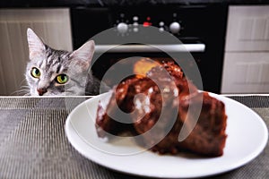 Cat glances at piece meat. Pet watch from behind kitchen table. Grey cat looks at background of kitchen and a large piece meat on