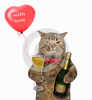Cat with glass of wine and balloon