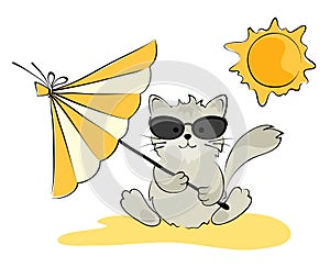 Cat in the glasses on the beach