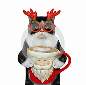 Cat in glasses drinks coffee