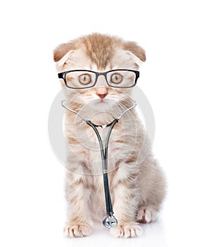 Cat with a glasses and stethoscope on his neck. looking at camera. isolated on white background