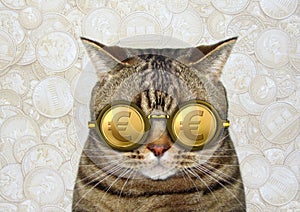 Cat in gold euro glasses 3