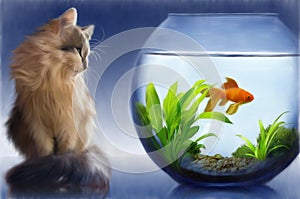 Kočka a zlatá rybka 