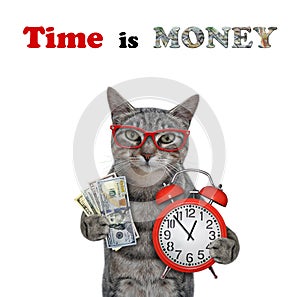 Cat gray with alarm clock and dollars