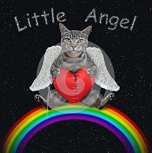 Cat gray angel with heart on rainbow