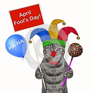 Cat gray clown with cake pop 2