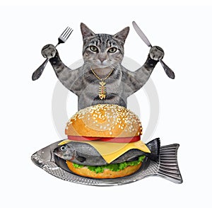 Cat gray eats fish burger on plate