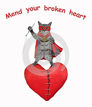 Cat gray hero mend broken heart