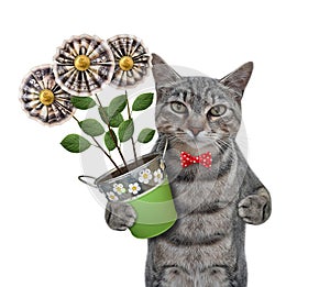 Cat gray holding money flowers