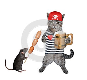 Cat gray pirate drinks beer 2