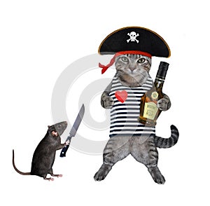 Cat gray pirate drinks rum 2