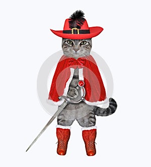 Cat gray in red cloak with sword