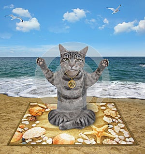 Cat gray on sea mat doing yoga on beach