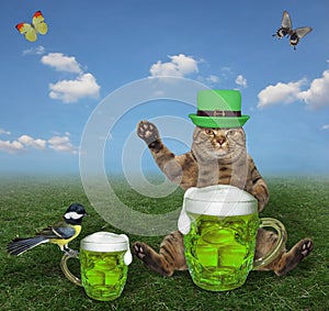 Cat in green hat drinks beer 2