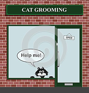 Cat grooming establishment