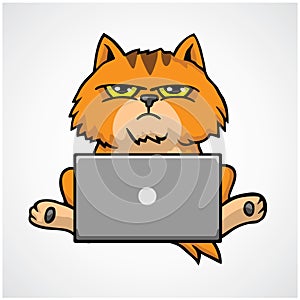 Cat Grumpy Cute Working on Laptop Cartoon Vector Design Icon Illustration