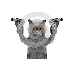 Cat with guns is murderer