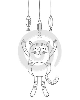 A Cat and Hanging Fish Colorless
