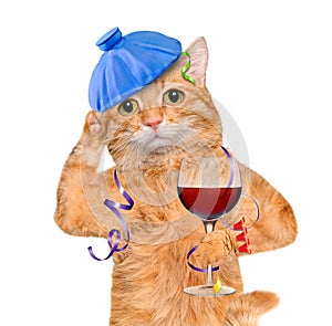 Cat with a hangover and headache is holding a glass of wine, ice bag on a head.