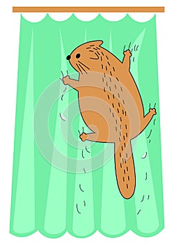 Cat hangs on the curtains. The animal was scared. Pet torn, damaged the curtain. Funny image. Vector illustration