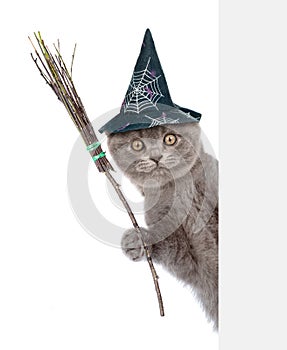 Cat with hat for halloween and with witches broom stick peeking from behind empty board. isolated on white background