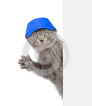 Cat in hat laborer above white banner. isolated on white background