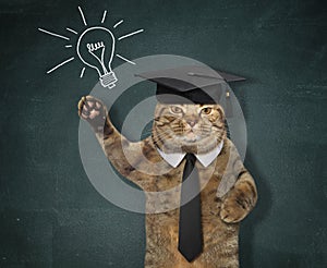 Cat in a hat near a blackboard