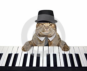 Cat in a hat plays the piano 3