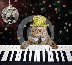 Cat in a hat plays the piano in a club