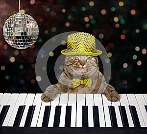 Cat in a hat plays the piano in a club 2