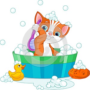 Cat having a bath