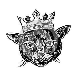 Cat head with crown. Vintage vector black engraving