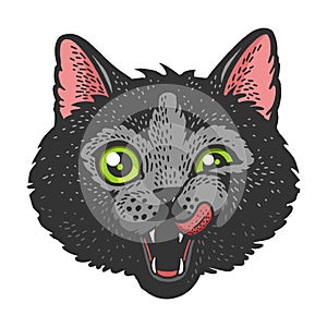 Cat head face color sketch vector illustration