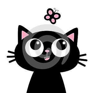 Cat head face looking at butterfly insect. Cute cartoon funny character. Black silhouette sticker print. Kawaii animal. Pet baby