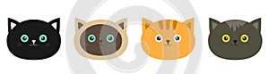Cat head set line. Siamese, red, black, orange, gray color cats in flat design style. Cute cartoon character. Different eyes.