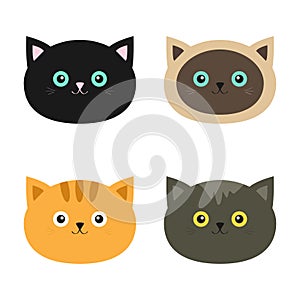 Cat head set. Siamese, red, black, orange, gray color cats in flat design style. Cute cartoon character. Different eyes.