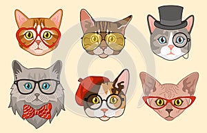 Cat heads. Cute funny cats avatar muzzles with accessories, glasses and hats, bow tie. Happy hipster pets vector photo