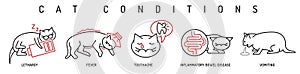 Cat health conditions icons. Hyperthermia, lethargy, vomiting in cats.