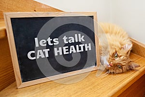 Cat health issue - ginger cat with text.